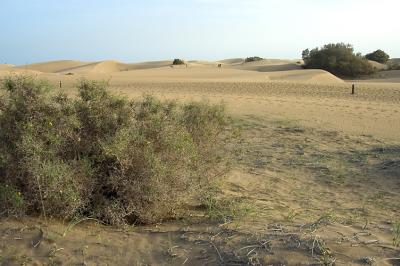 DSC_0179.jpg