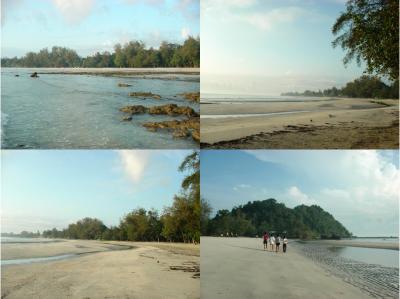 morning walk around the beach