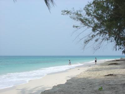 the beach fronting the resort
