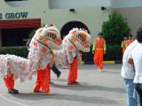 Lion dance to welcome us back