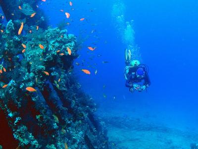 Diver near the wreck of the carnatic