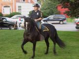 Equestrian police sidestep