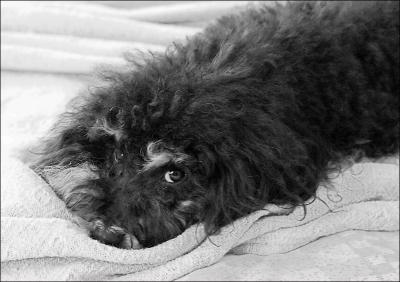 It's my bed, too!