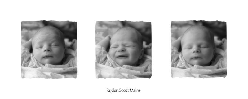 ryder