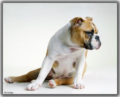 u47/jarrell/medium/30203659.hsitting.jpg