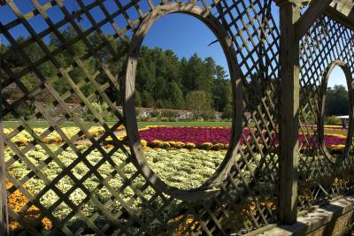 u47/jboyer/medium/35414610.Biltmore17.jpg