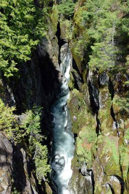 u47/jctangney/medium/30167532.DSC_2184a.jpg