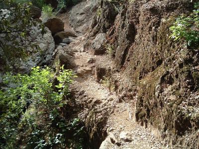 Another section of trail that leaves little room for error. You basically have approach this section with speed and confidence ... and not look down!