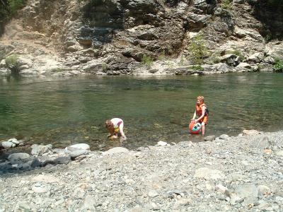 Shelby and Boston take a swim in the Yuba River.