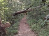 trail start.JPG
