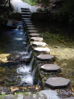 Tollymore stepping stones
