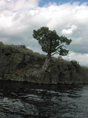 scene along Henrys fork of the snake