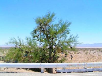 Desert37A.jpg