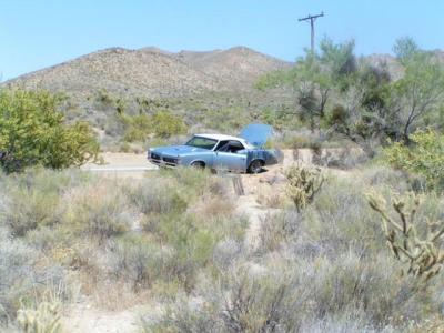 Desert47.jpg
