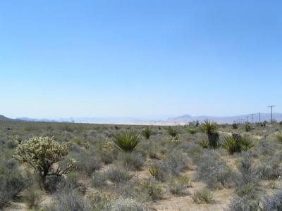 Desert50.jpg