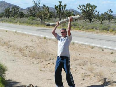 Desert59.jpg