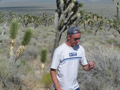Desert62.jpg