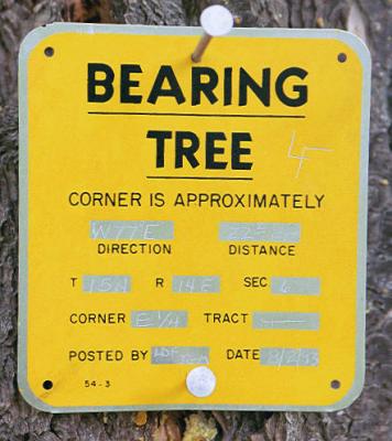 bearing tree