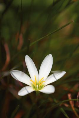 CRW_4689.jpg