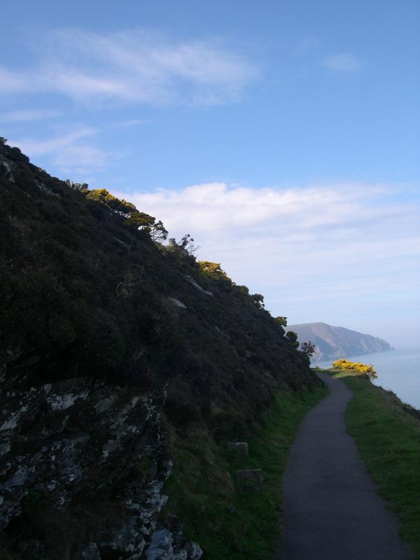 sun and gorse, North Costal Walk, Devon