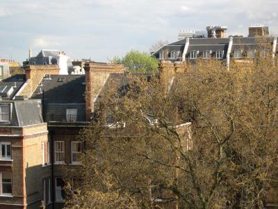 Roof tops in London