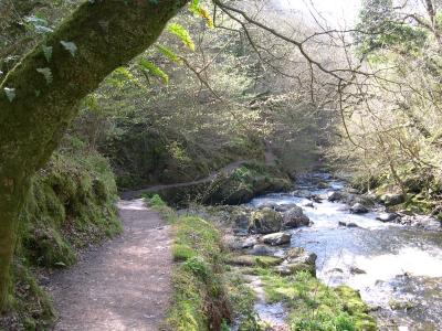 Path to Watersmeet, Devon