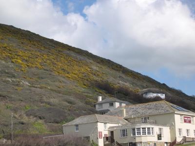 View of Gorse