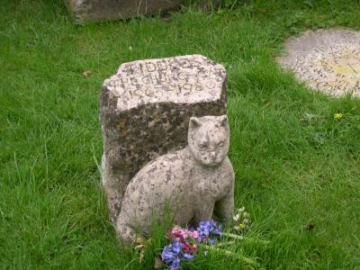 I think what amazed me was there are fresh flowers on a grave for a cat that died 24 years ago