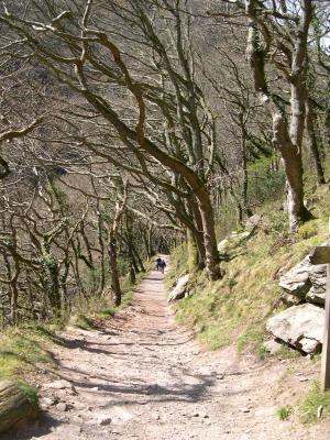 Path to Watersmeet, Devon