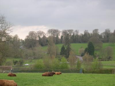 View, Coln-St. Aldwyn, Gloucs