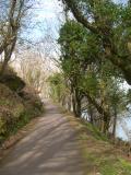 North Costal Walk, Devon