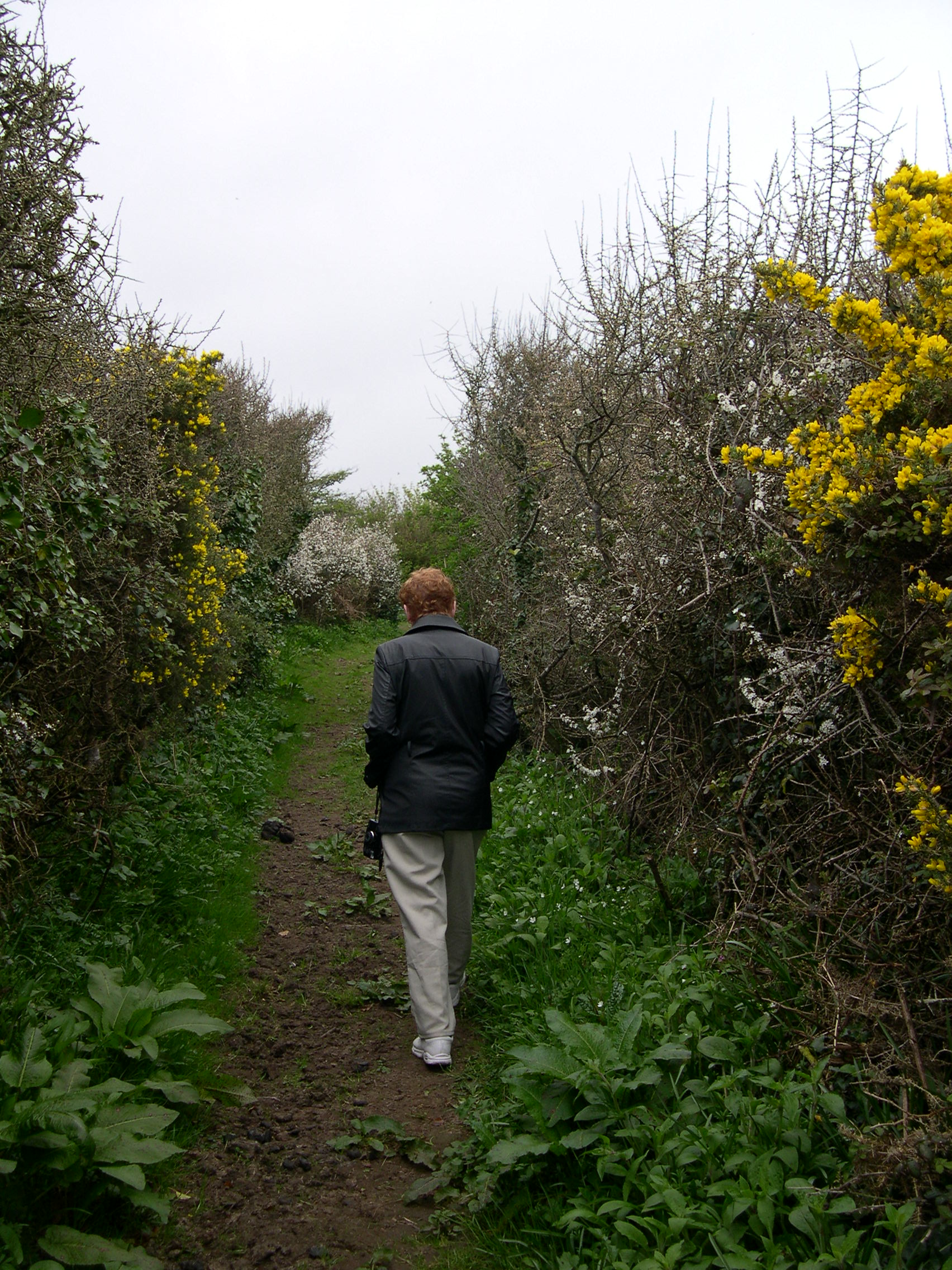 Following path to Minack