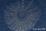 Web