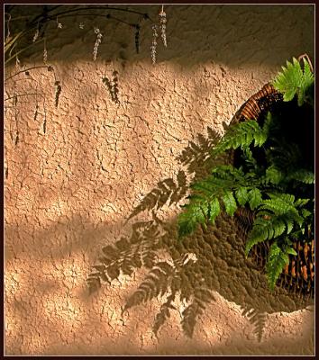 Morning shadow