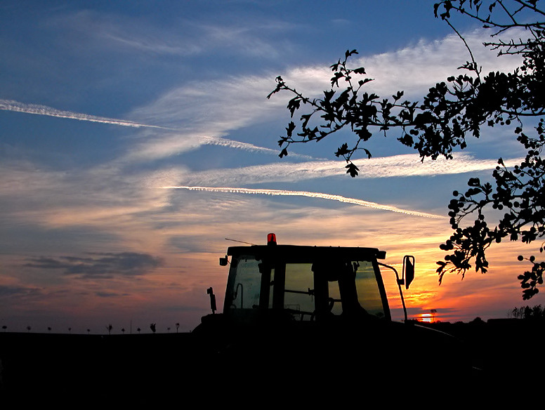 Rural sunset