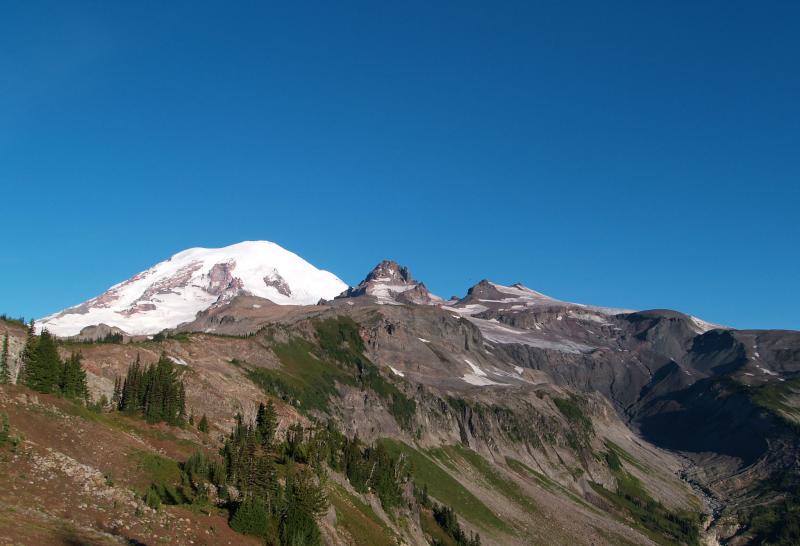 Rainier from Cowlitz Park