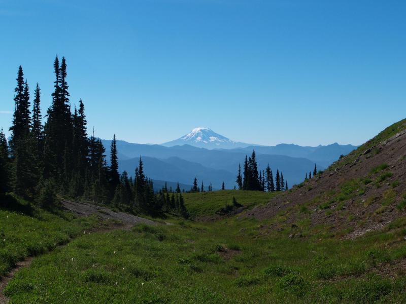Mt Adams from Wonderland trail