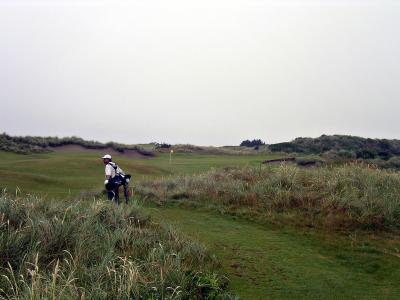 Pacific Dunes #5