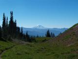 Mt Adams from Wonderland trail
