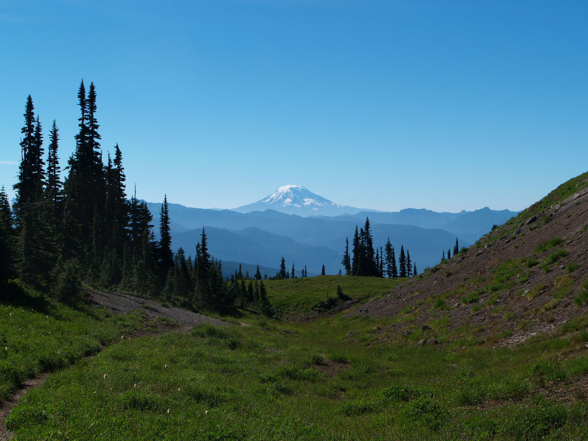 Mt Adams from Wonderland trail
