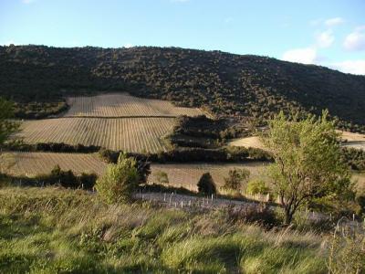 Campagne de Cucugnan