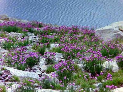 Lac de Brazato