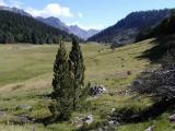 Plateau de Bious Artigues