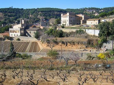 Old Teia and its vineyards