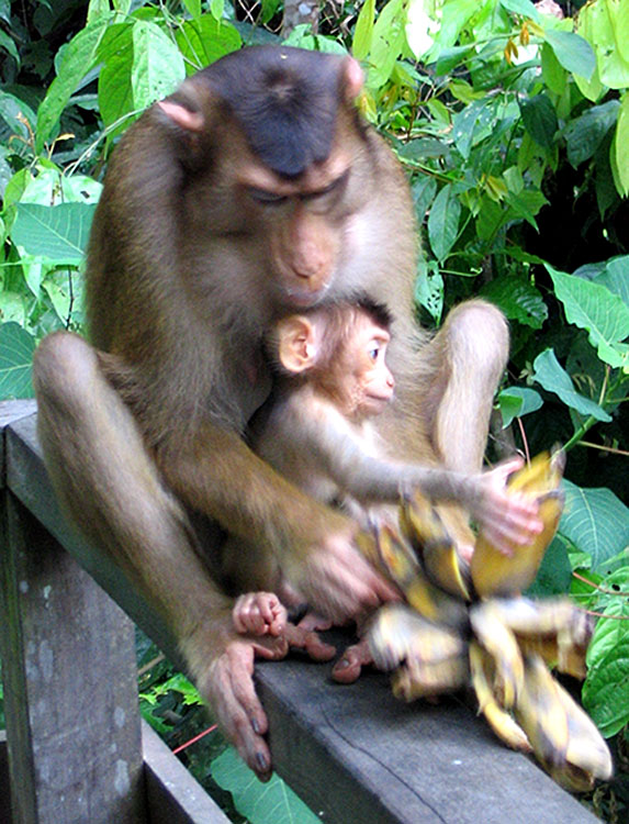 Feeding time