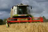 Claas Combine in Barley