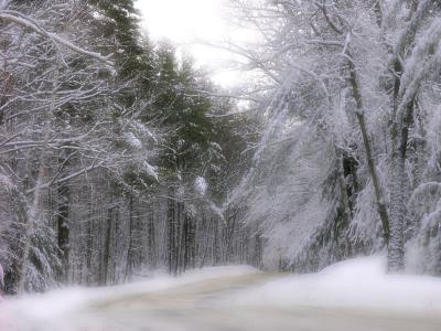 u47/jonalisa/medium/40011587.snowblur1.jpg