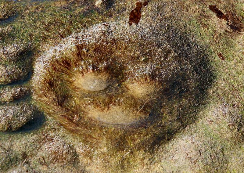 Ancient Petroglyph...