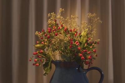 June 19 - red buds