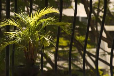 June 20 - sunlight on the balcony